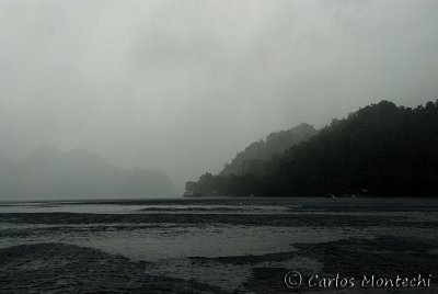 DSC_0201.jpg
