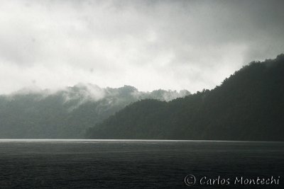 DSC_0202.jpg