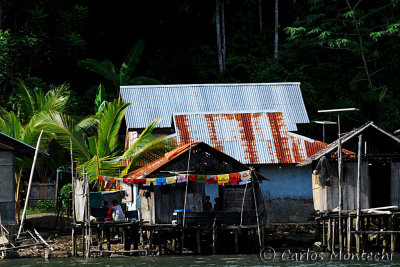 DSC_0667.jpg