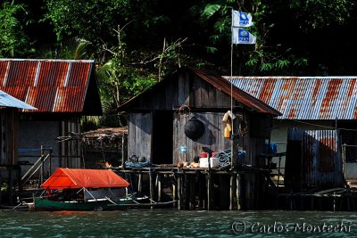 DSC_0675.jpg