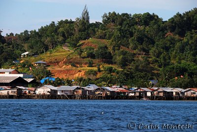 DSC_0759.jpg