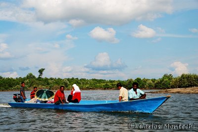 DSC_0780.jpg