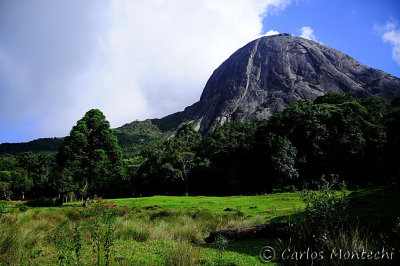 DSC_2487.jpg