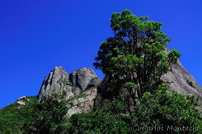 DSC_2608.jpg