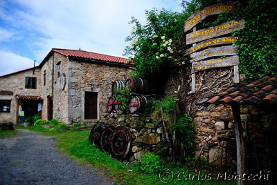 DSC_2263 copy.jpg