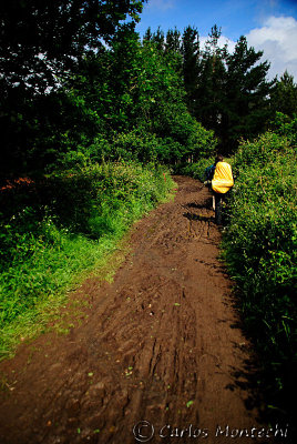 DSC_2273 copy.jpg