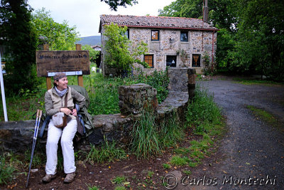 DSC_2275 copy.jpg