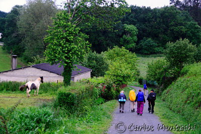 DSC_2348 copy.jpg