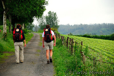 DSC_2402 copy.jpg