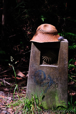 DSC_2446 copy.jpg