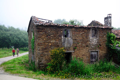 DSC_2453 copy.jpg
