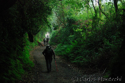 DSC_2458 copy.jpg