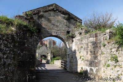 IMG_3217.jpg