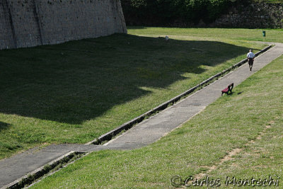 IMG_3223.jpg