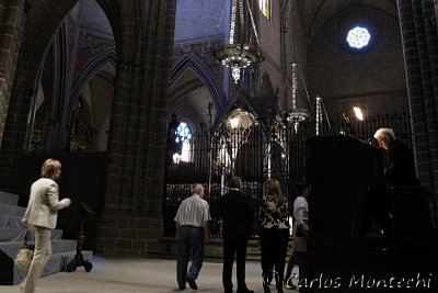 IMG_3344.jpg