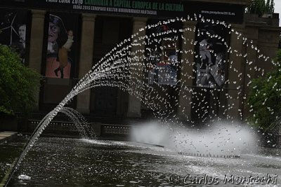 IMG_3372.jpg