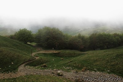 IMG_3772.jpg