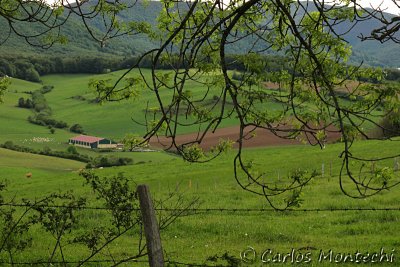 IMG_3849.jpg