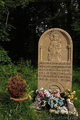IMG_3854.jpg