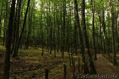 IMG_3858.jpg