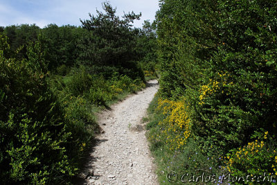IMG_3880.jpg