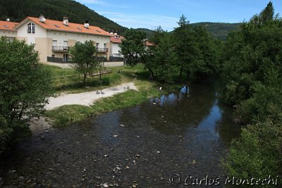 IMG_3899.jpg