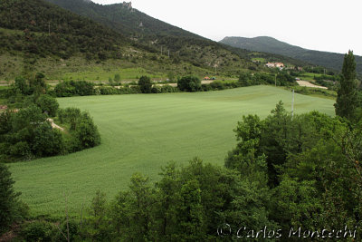IMG_3942.jpg