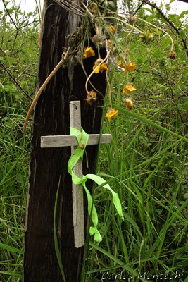 IMG_3959.jpg