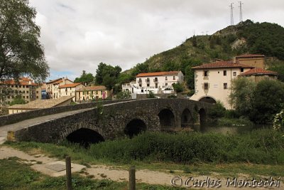 IMG_3968.jpg