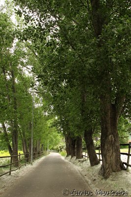 IMG_3988.jpg
