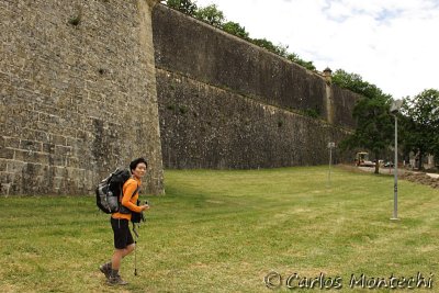 IMG_3997.jpg