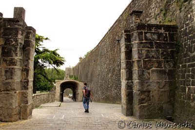 IMG_4013.jpg
