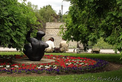 IMG_4019.jpg