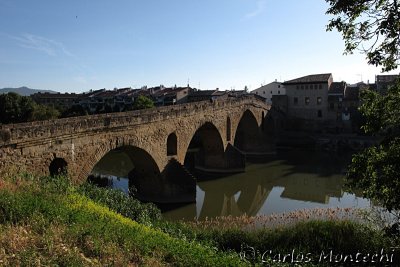IMG_4344.jpg