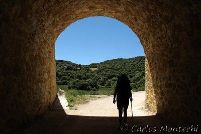 IMG_4431.jpg