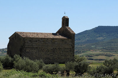 IMG_4474.jpg