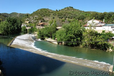 IMG_4477.jpg