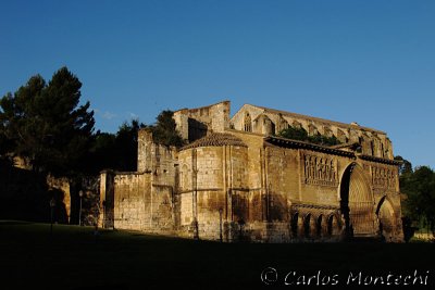 IMG_4510.jpg