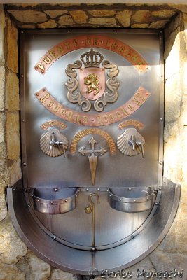 IMG_4558.jpg