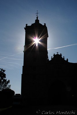 IMG_4566.jpg