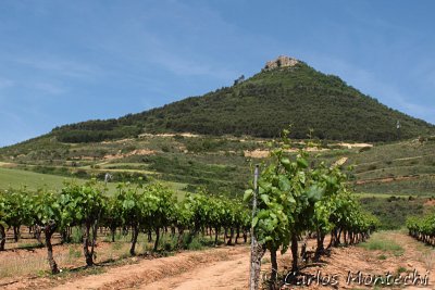 IMG_4621.jpg