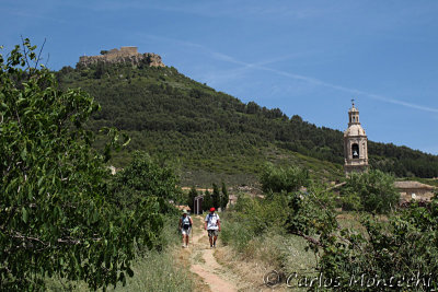 IMG_4639.jpg