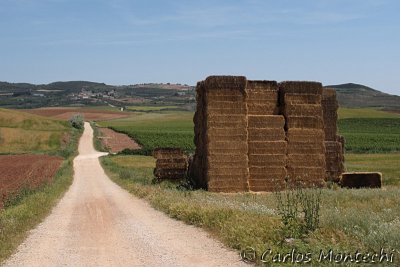 IMG_4648.jpg