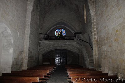 IMG_5014.jpg