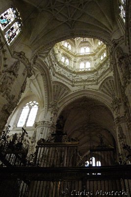 IMG_5174.jpg