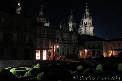 IMG_8271.jpg