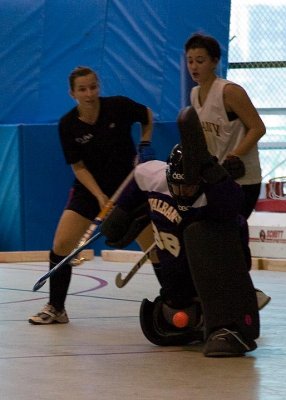 big_apple_indoor_2008
