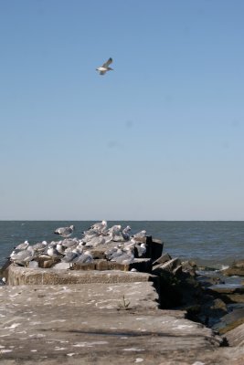 IMG_9369.JPG