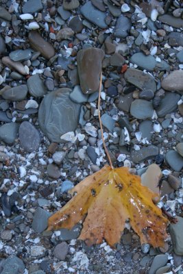 IMG_9392.JPG