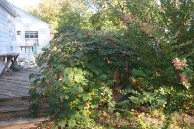 IMG_9395.JPG